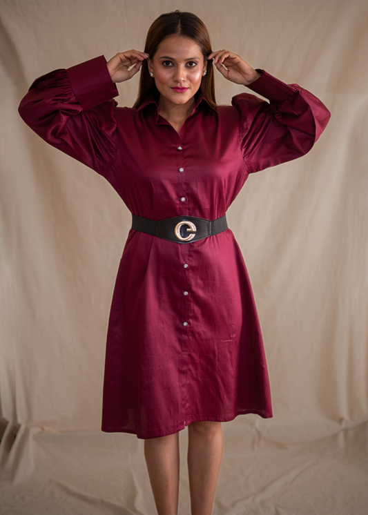 Mini Shirt Dress With Dramatic Sleeves